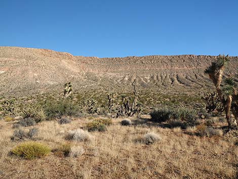 Uranium Mine