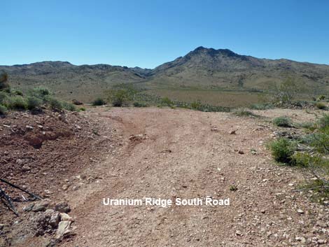 Uranium Ridge