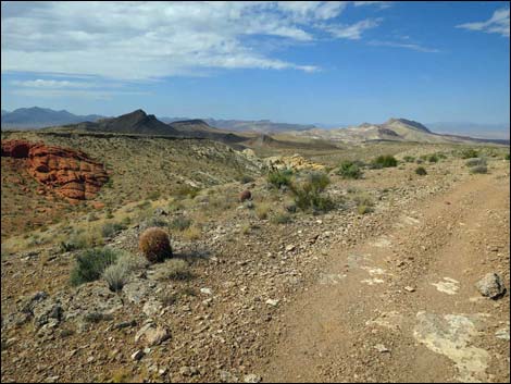 Whitney Pocket Overlook Trail