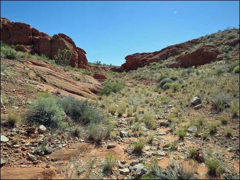 Whitney Pocket Overlook Trail