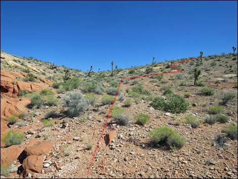 Whitney Pocket Overlook Trail