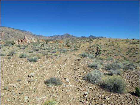 Whitney Pocket Overlook Trail