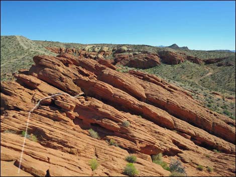 Whitney Pocket Overlook Trail