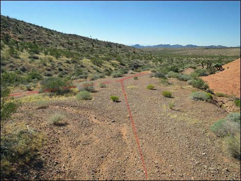 Whitney Pocket Overlook Trail