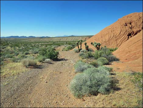 Whitney Pocket Overlook Trail