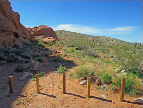 Whitney Pocket Overlook Trail