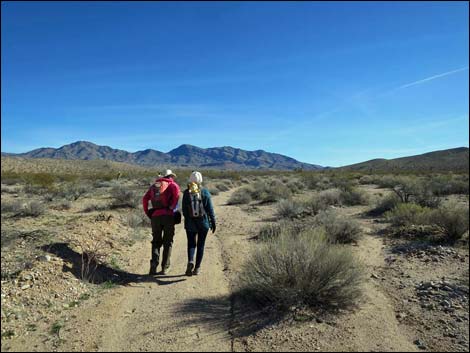 Wechech Basin Loop