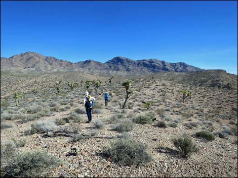 Wechech Basin Loop