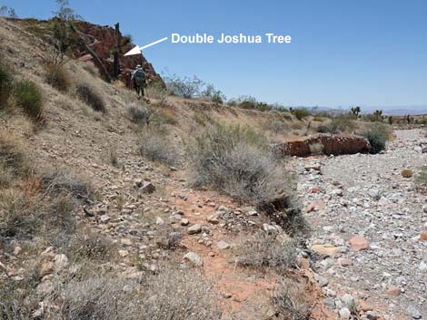 Whitney Wash