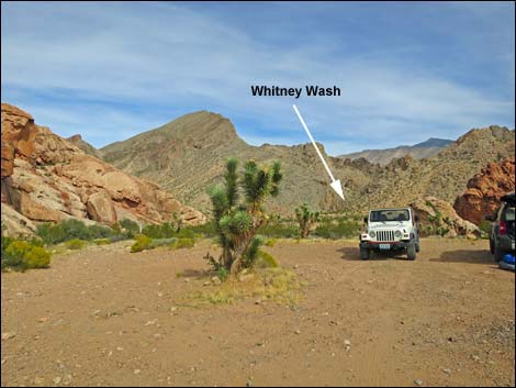 Whitney Wash