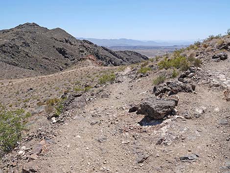 Black Mountain Overlook Trail