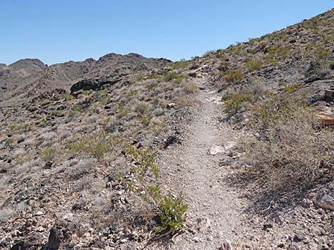 Black Mountain Overlook Trail