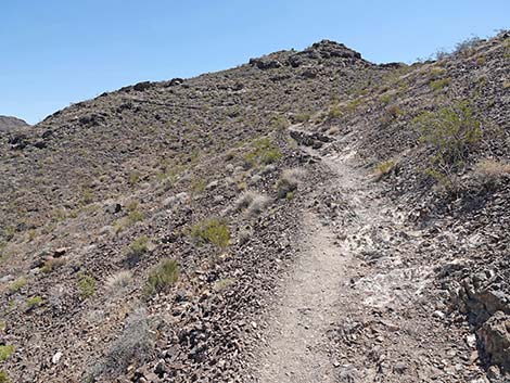 Black Mountain Overlook Trail