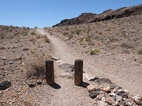 Black Mountain Overlook Trail