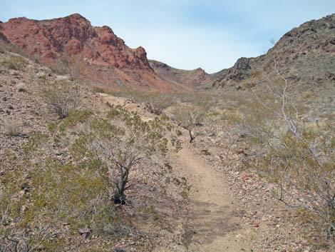 River Mountain "Foot" Trail