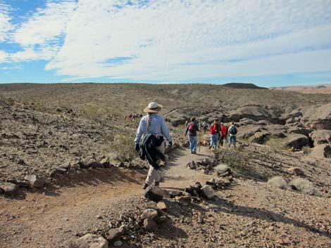 Bluff Trail