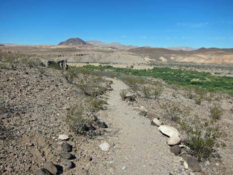 Bluff Trail