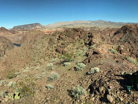 Colorado River Overlook