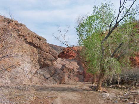 Pinto Valley Wilderness Area