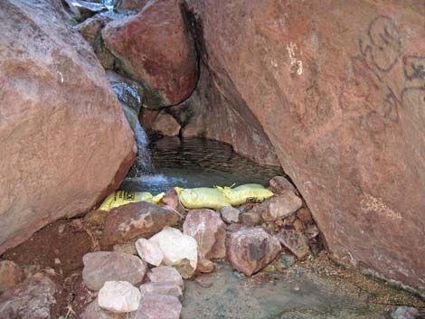 Goldstrike Hot Springs