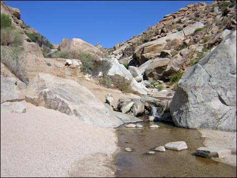 Grapevine Canyon