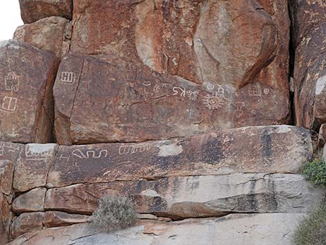 Grapevine Canyon Petroglyphs