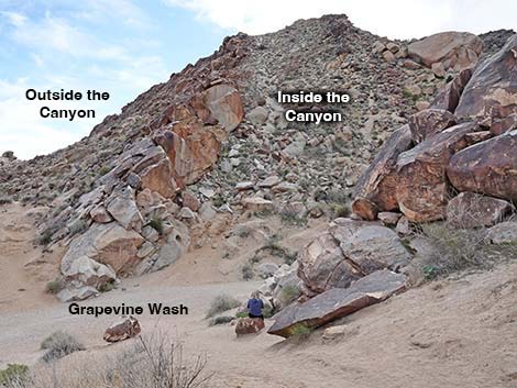 Grapevine Canyon Petroglyphs