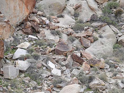 Grapevine Canyon Petroglyphs