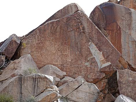 Grapevine Canyon Petroglyphs