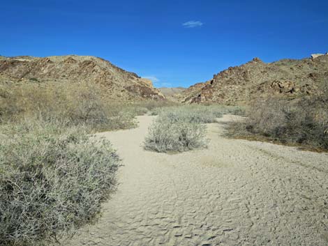 Grapevine Canyon