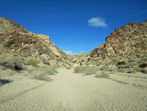 Grapevine Canyon