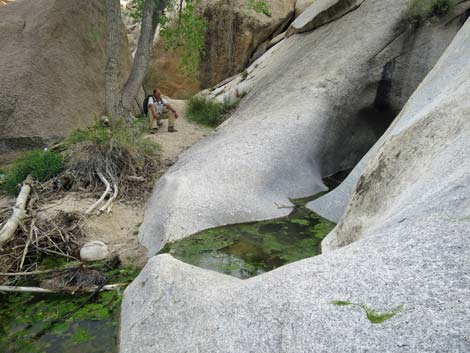 Grapevine Canyon