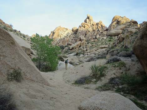 Grapevine Canyon