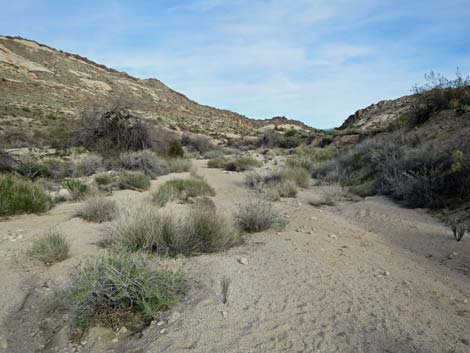 Grapevine Canyon