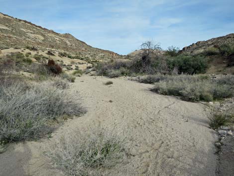 Grapevine Canyon