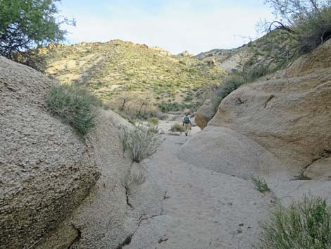 Grapevine Canyon