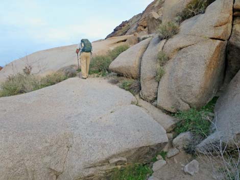 Grapevine Canyon