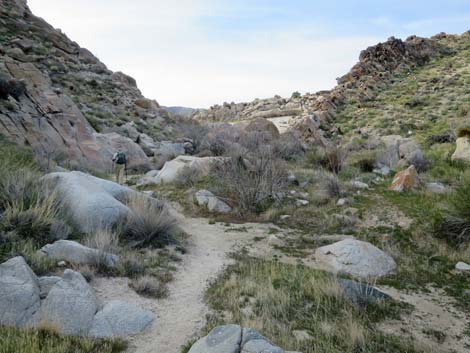 Grapevine Canyon