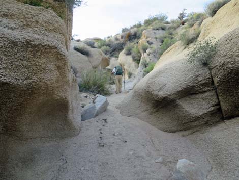 Grapevine Canyon