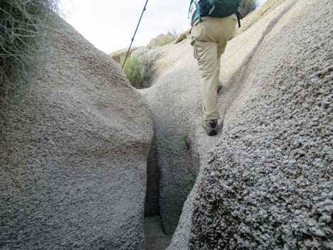 Grapevine Canyon