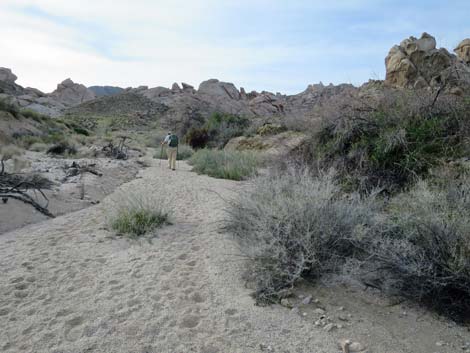 Grapevine Canyon