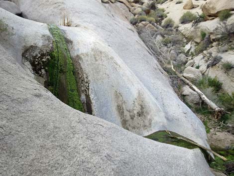 Grapevine Canyon