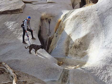 Grapevine Canyon