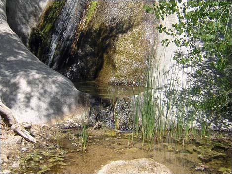 Grapevine Canyon