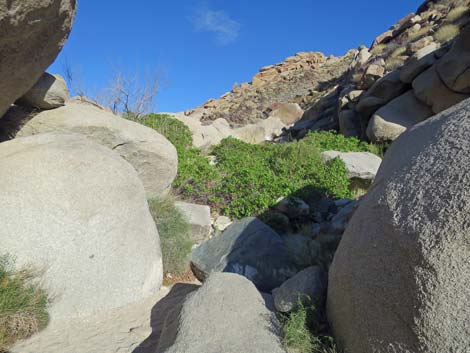 Grapevine Canyon