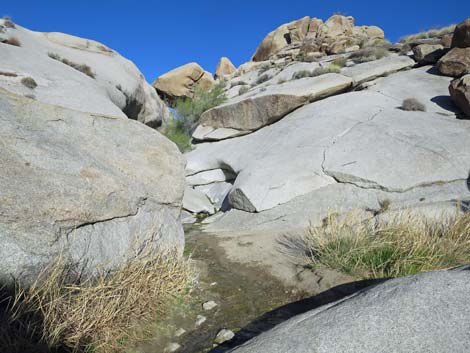 Grapevine Canyon