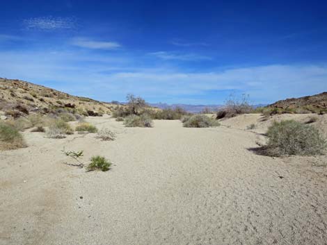 Grapevine Canyon