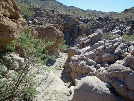 Arizona Hot Spring