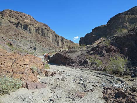 Hot Spring Canyon