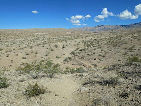 Hot Spring Canyon